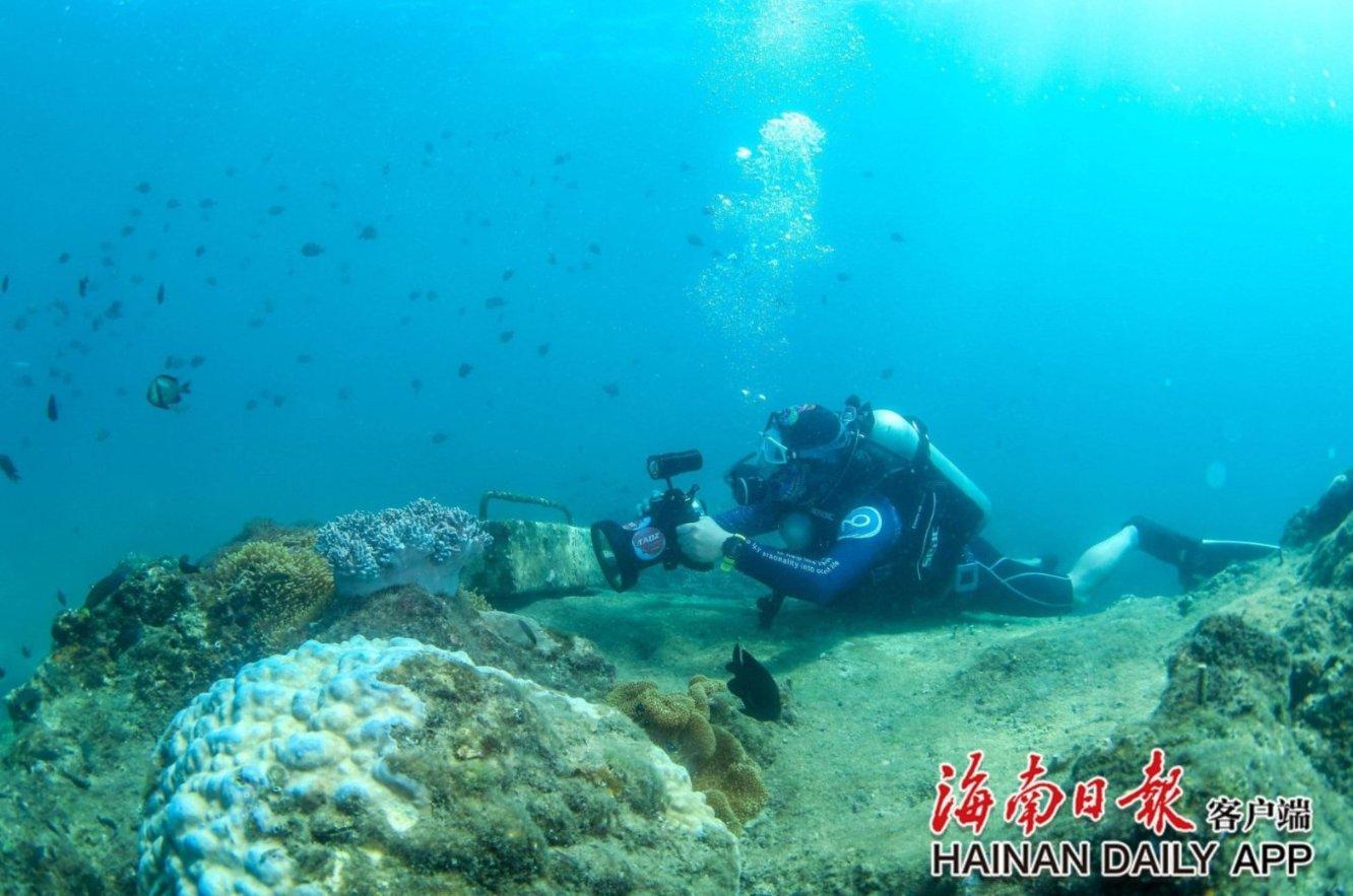 救援青龙